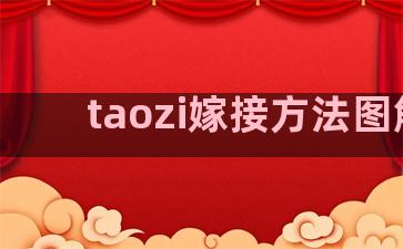 taozi嫁接方法图解