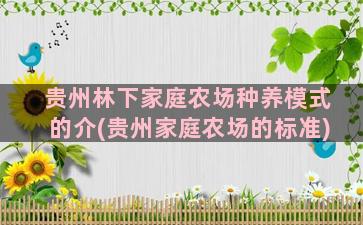 贵州林下家庭农场种养模式的介(贵州家庭农场的标准)