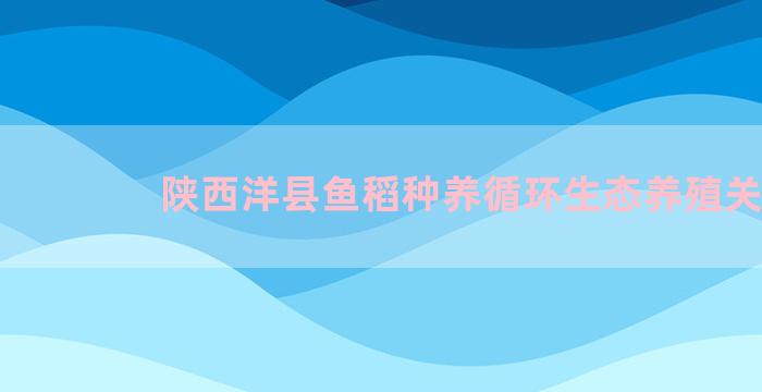 陕西洋县鱼稻种养循环生态养殖关