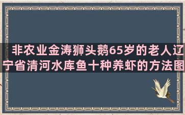 非农业金涛狮头鹅65岁的老人辽宁省清河水库鱼十种养虾的方法图解大全