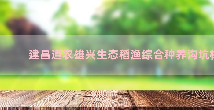 建昌道农雄兴生态稻渔综合种养沟坑标准图